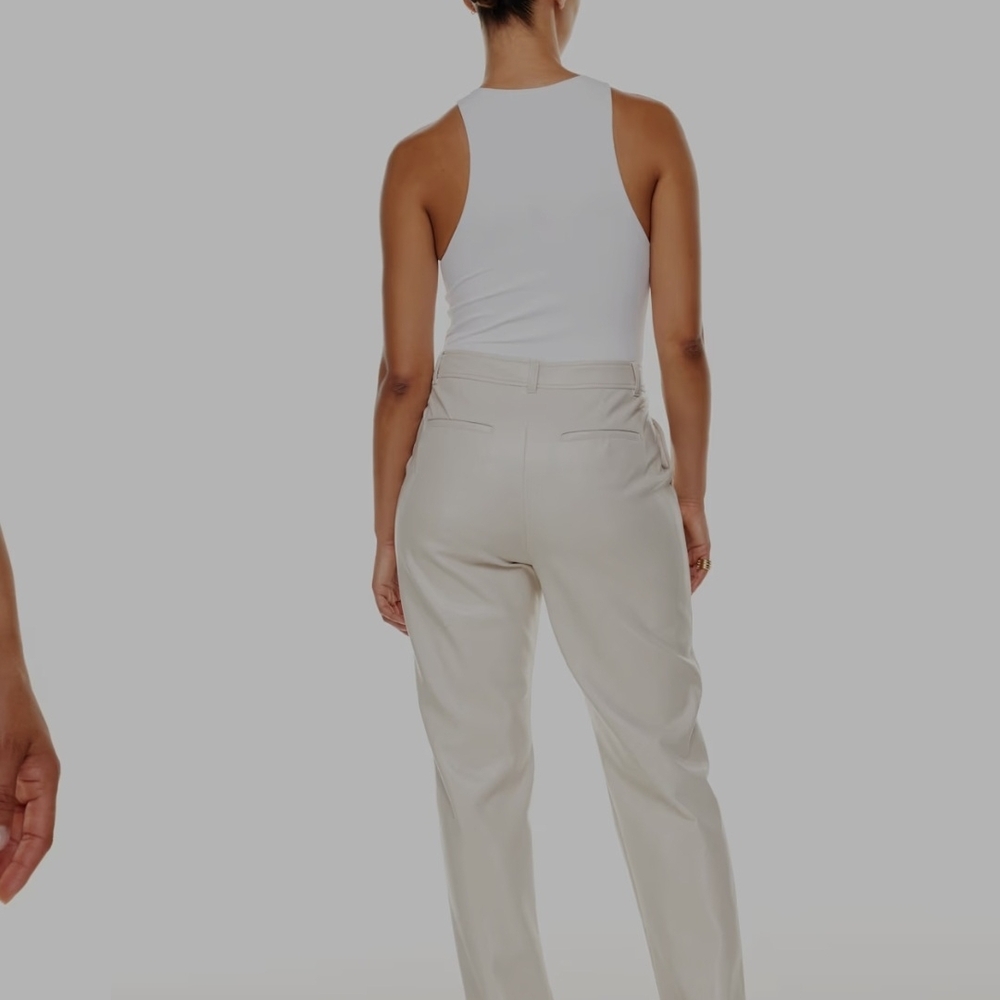 Aritzia Command Pants In Matte Pearl